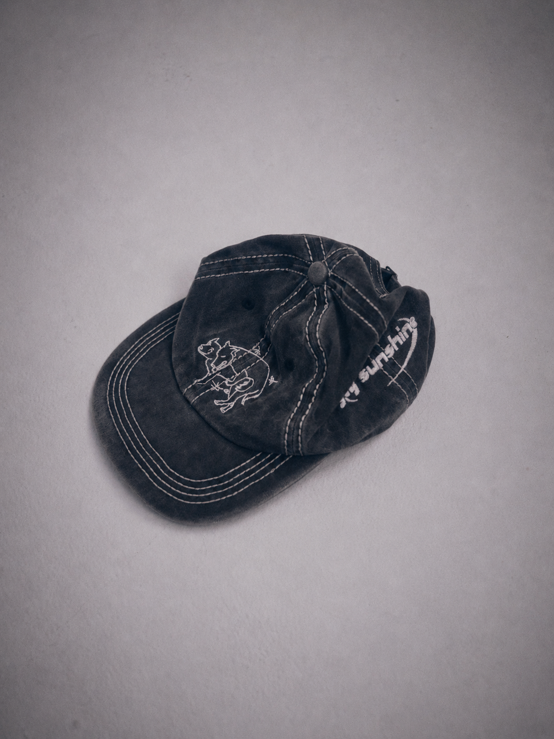 LIKE DOGS DAD CAP